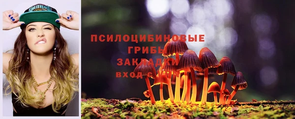 прущая мука Верея