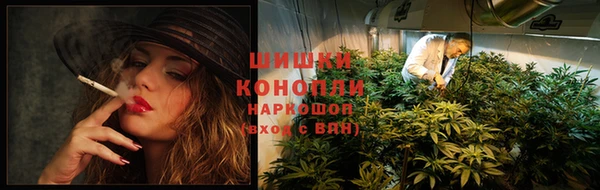 прущая мука Верея