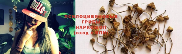 дурь Верхнеуральск