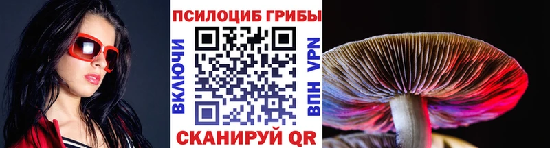 как найти закладки  Первомайск  Галлюциногенные грибы ЛСД 
